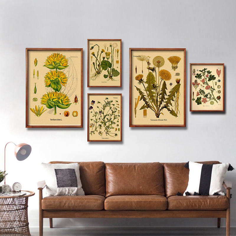 โปสเตอร์ภาพพิมพ์ลายดอกไม้และพื - Home Decor Scrap บทวิจารณ์และราคา